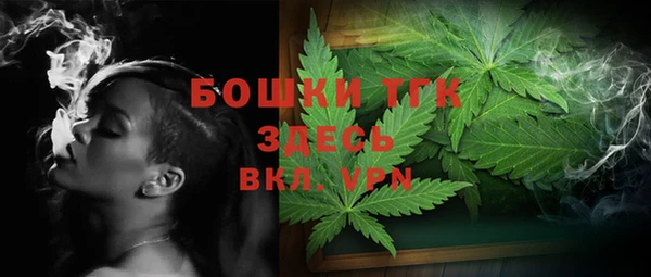 PSILOCYBIN Алагир