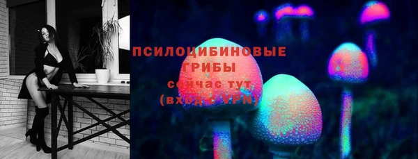 ECSTASY Ладушкин