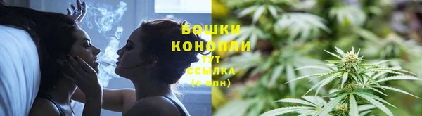 прущие грибы Липки