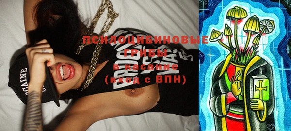 ECSTASY Ладушкин