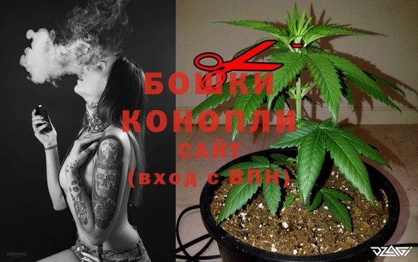 ECSTASY Ладушкин