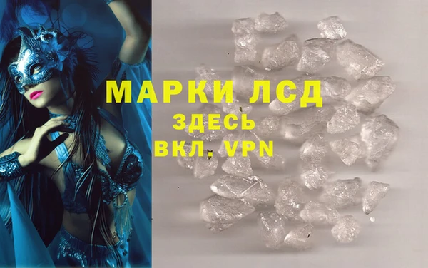 прущие грибы Липки